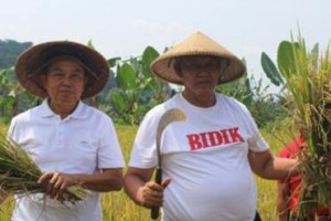 Dicintai Petani, Acep Panen Raya Salibu 